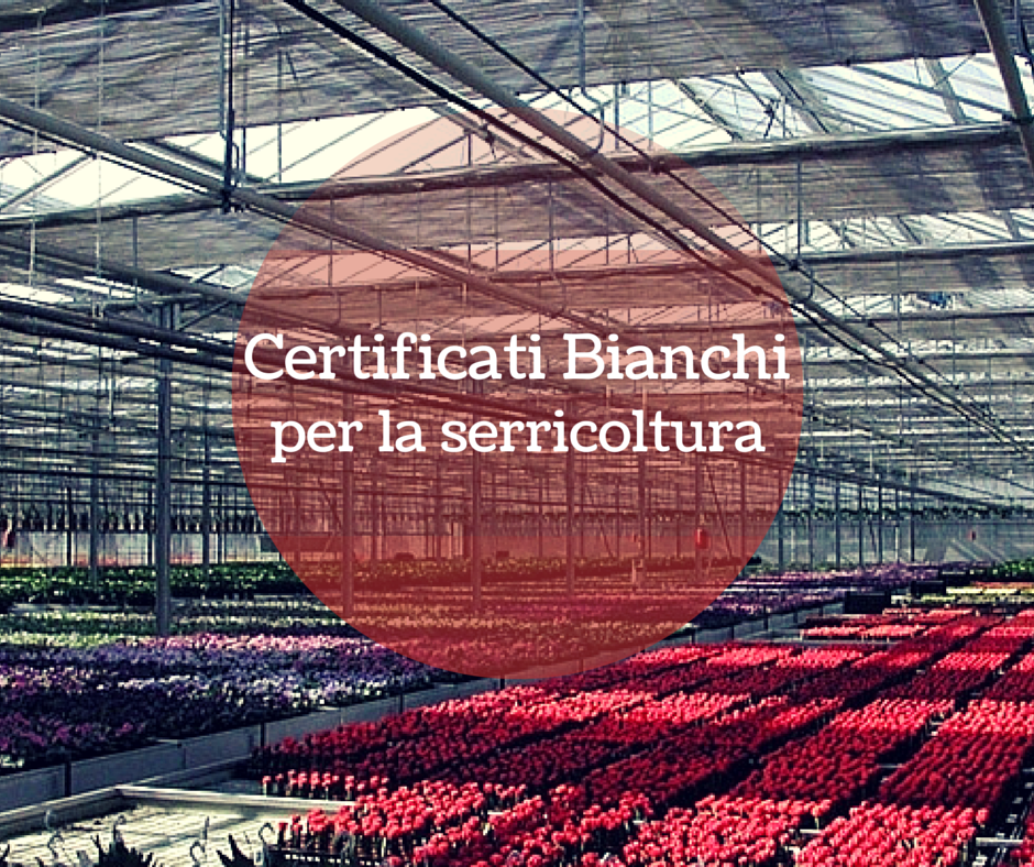 Certificati Bianchi per la serricoltura